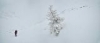 00 silvretta 2014 DSC_5840 pano opt 342a.jpg